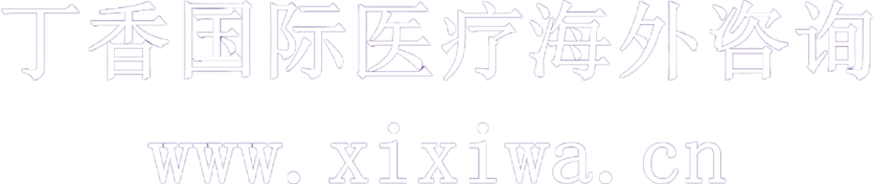 丁香国际医疗海外咨询