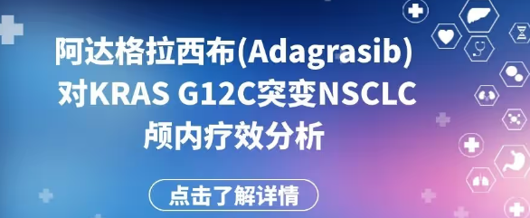 深度解析：阿达格拉西布2024年价格预测及其市场影响因素